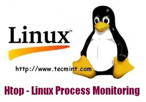 Htop Linux Process Monitoring