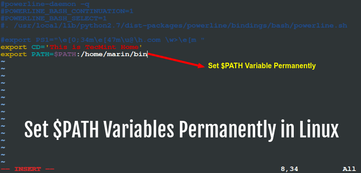 Learn How To Set Your PATH Variables Permanently In Linux