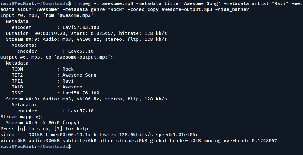 Updating Metadata of Media File