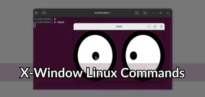 X-Based Commands in Linux