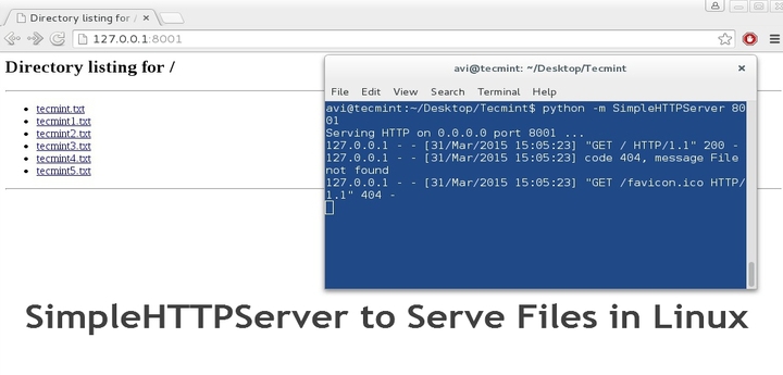 create a simple ftp server python