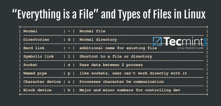 file details linux