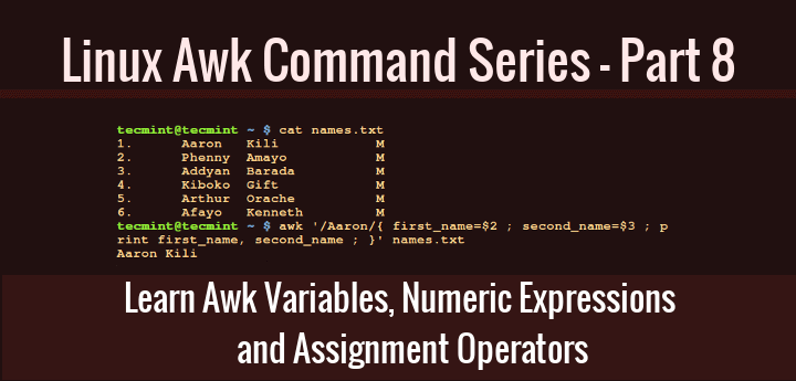 awk command line variable assignment