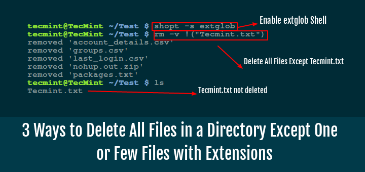 3 Ways To Delete All Files In A Directory Except One Or Few Files With 