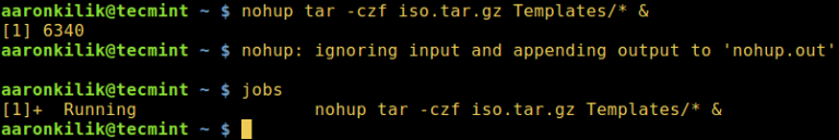 run-linux-commands-in-background-and-detach-from-terminal
