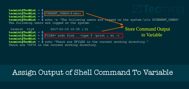 assignment command in shell