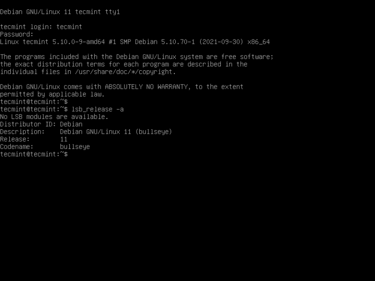 Cómo Instalar Debian 11 (Bullseye) Server Usando Net Install - MuyLinux