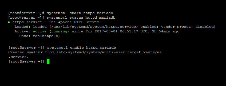 Start Apache and MariaDB Service