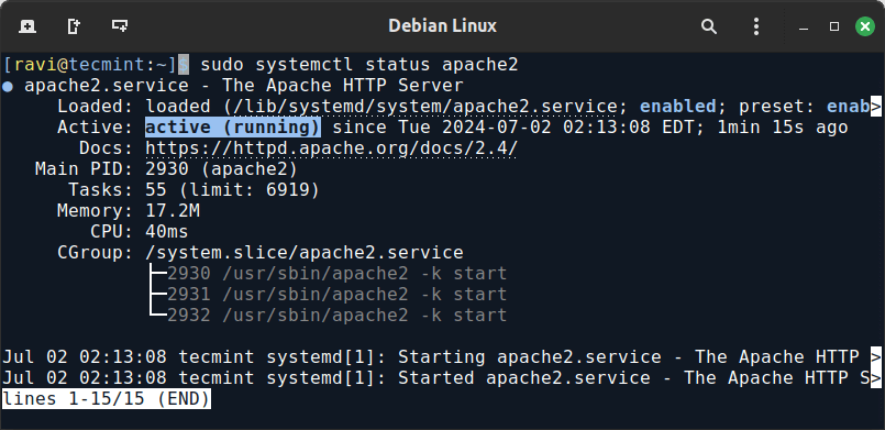 Check Apache Status on Debian