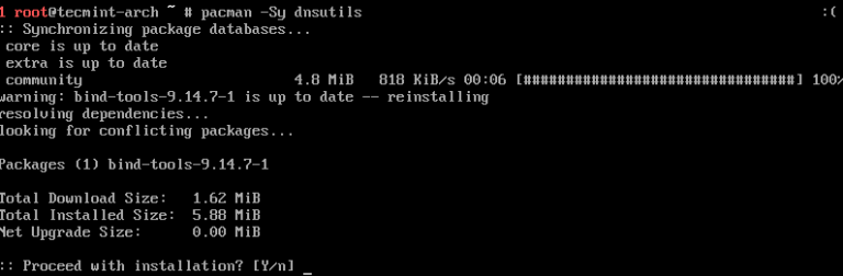 How to Install and Use dig and nslookup Commands in Linux