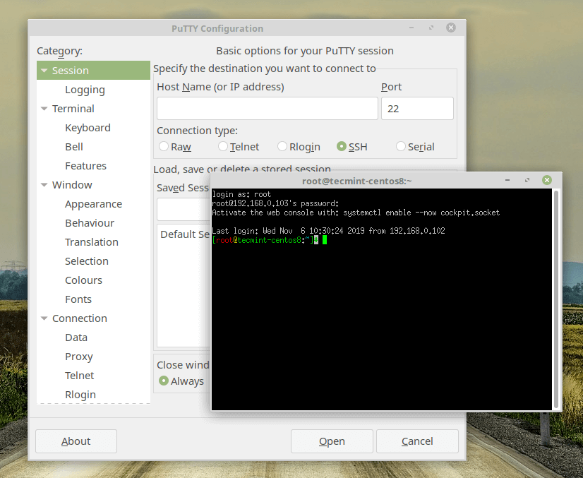 instal the last version for windows PuTTY SSH 0.79