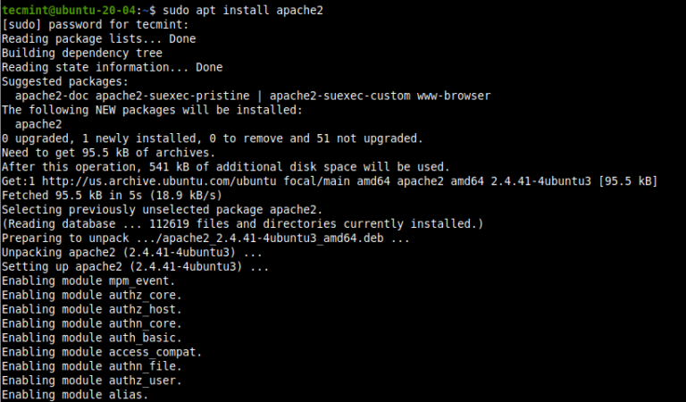 install nginx phpmyadmin ubuntu 20.04