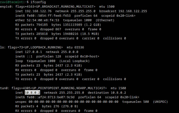 Confirm OpenVPN Network Connection