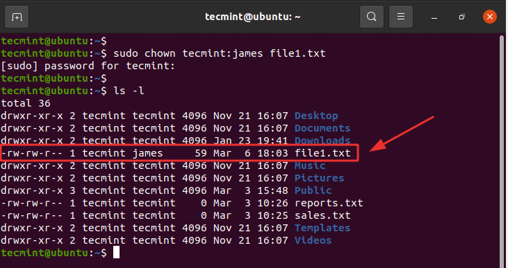 Learn Basic Linux System Commands Part 3 Tech Tribune France