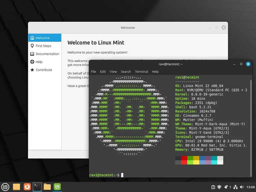 Linux Mint 22