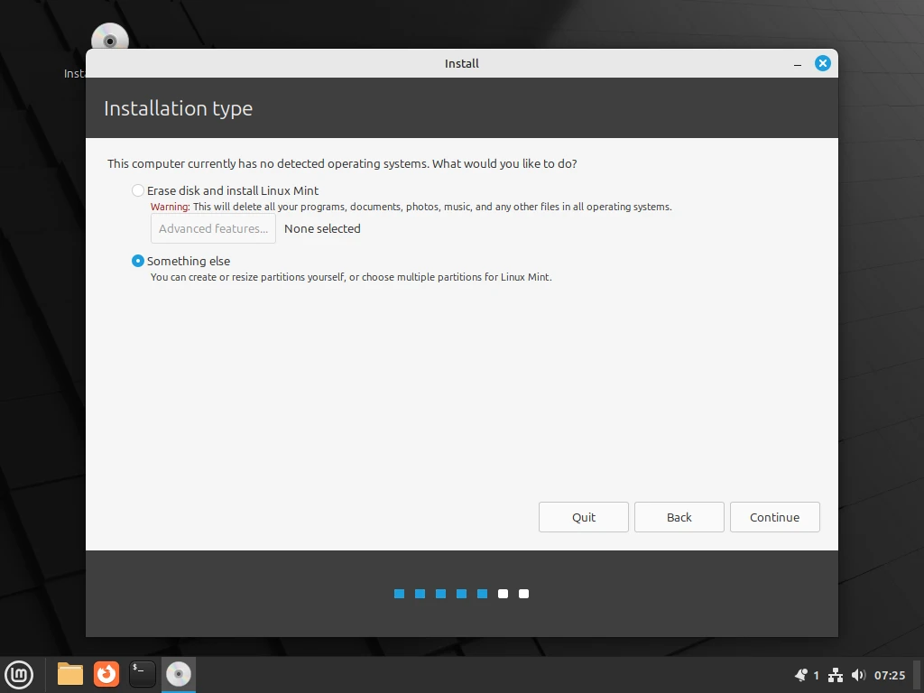 Linux Mint Installation Type