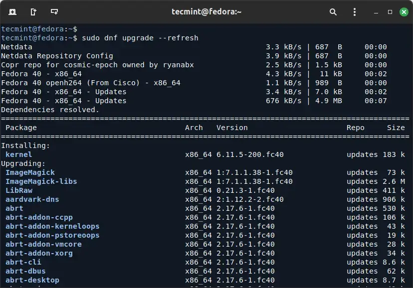 Update Fedora Packages