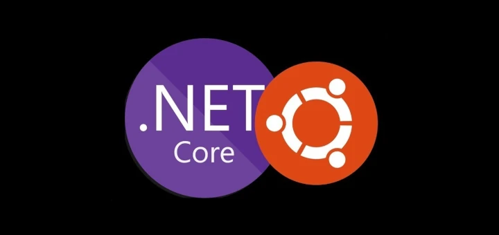 Install Net SDK in Ubuntu