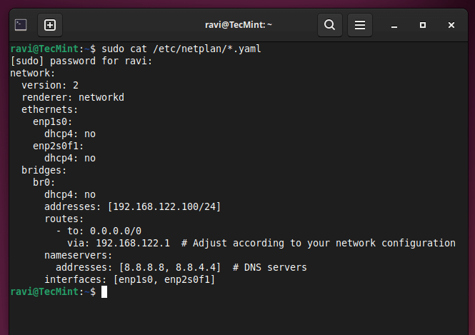 Show Netplan Network Configuration