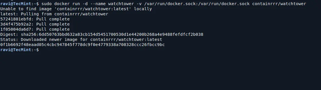 Watchtower - Automated Docker Container Updates