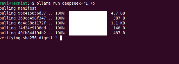 Install DeepSeek Model Locally