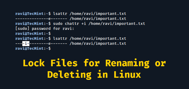 Prevent File Deletion in Linux