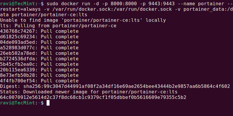 Install Portainer Server Container